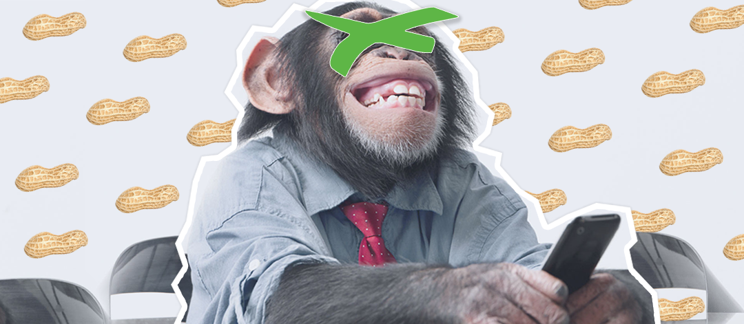How-to-pay-peanuts-and-not-get-monkeys How to pay peanuts and not get monkeys
